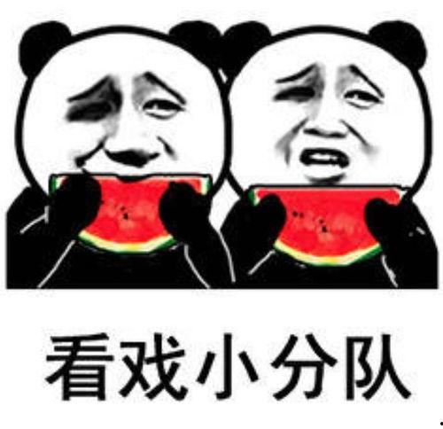 娱乐圈吃瓜表情变化